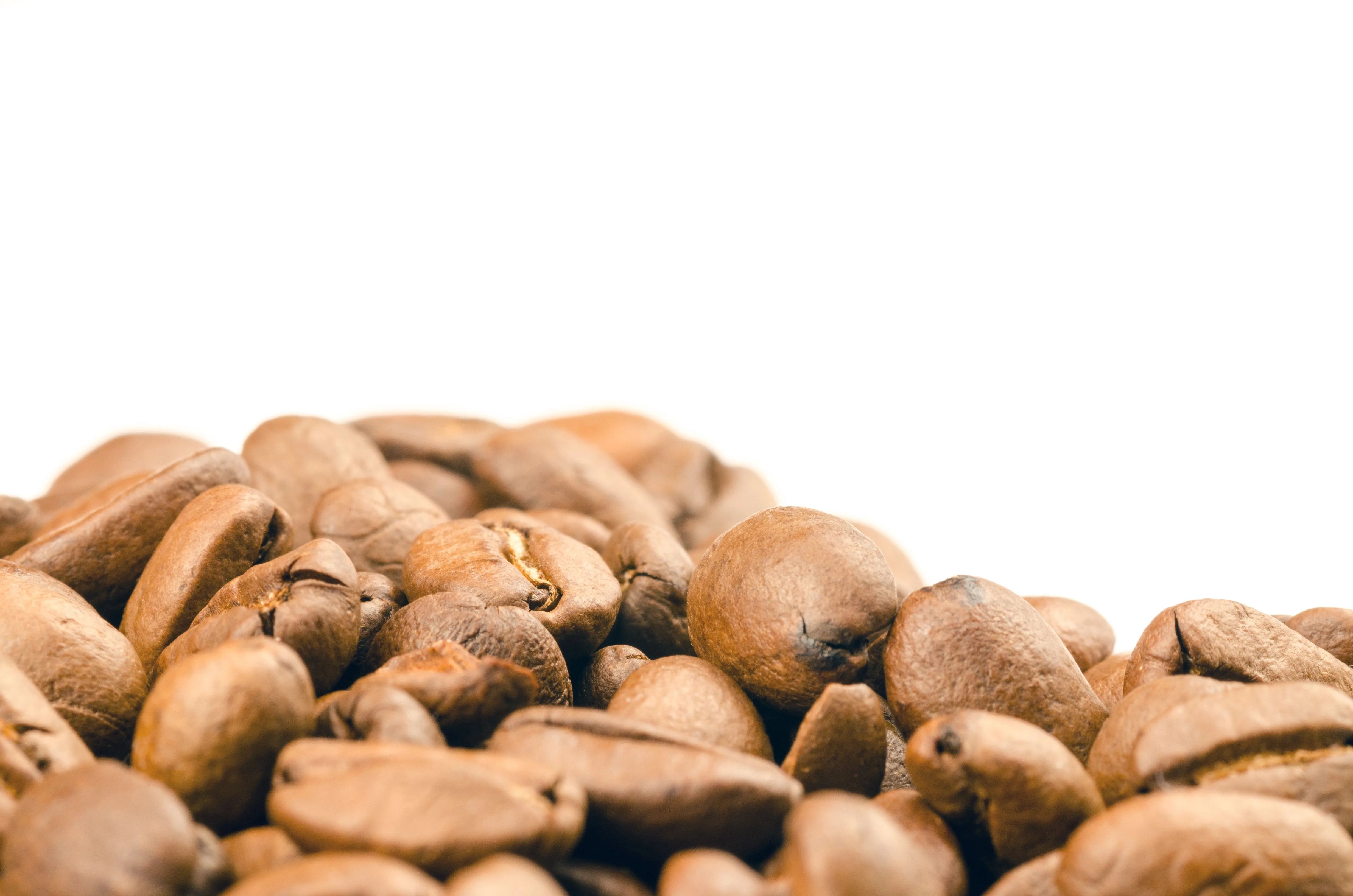 Close-up macro shot of whole roasted coffee beans, the natural source of caffeine used in topical hair growth treatments