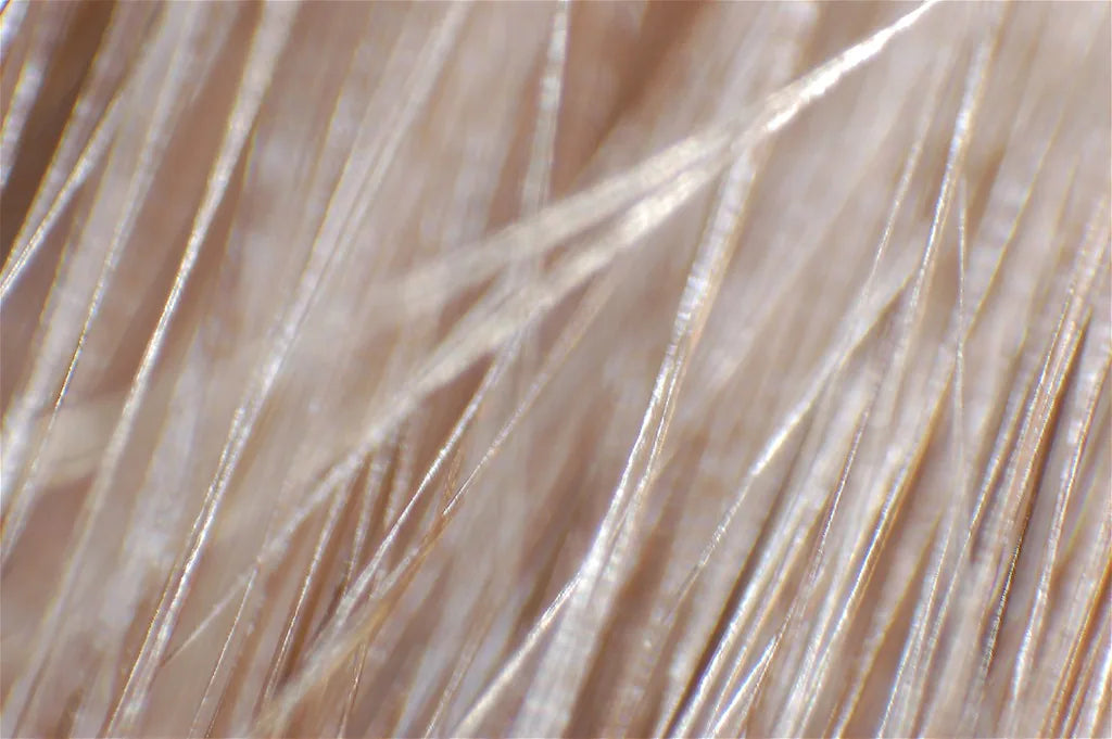 How to Measure Hair Density: Clinical and At-Home Methods
