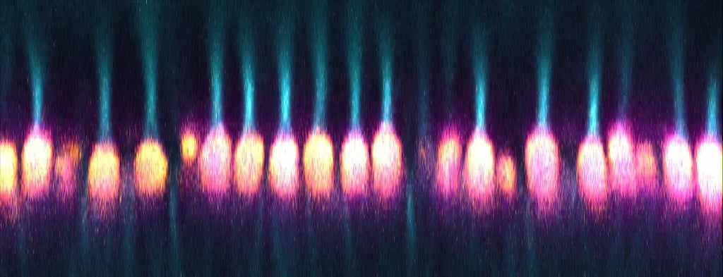 Mitochondrial Function and Hair Follicle Health: The Energy Connection