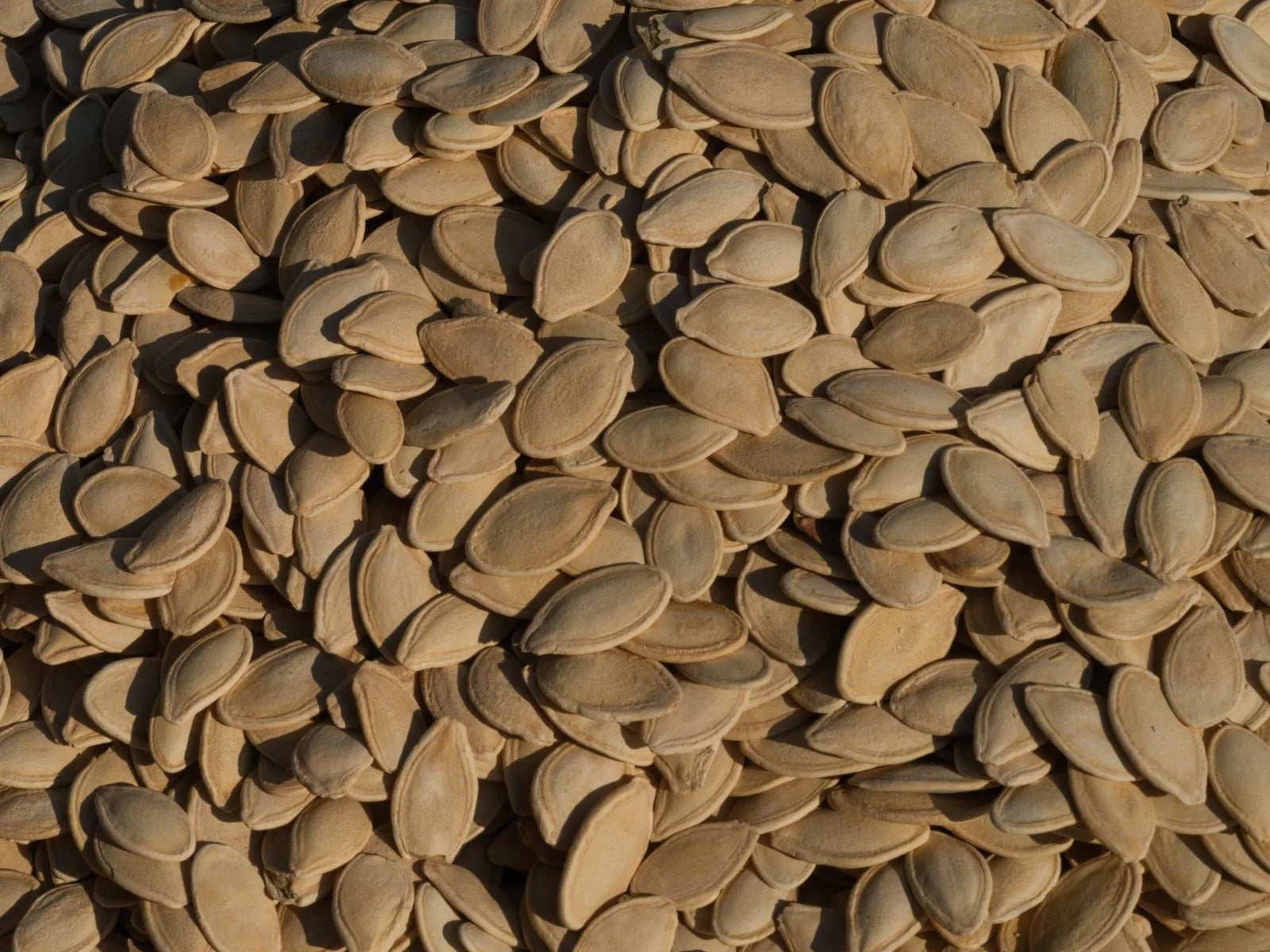 Close-up of a heap of raw pumpkin seeds, the natural source of pumpkin seed oil studied for hair loss