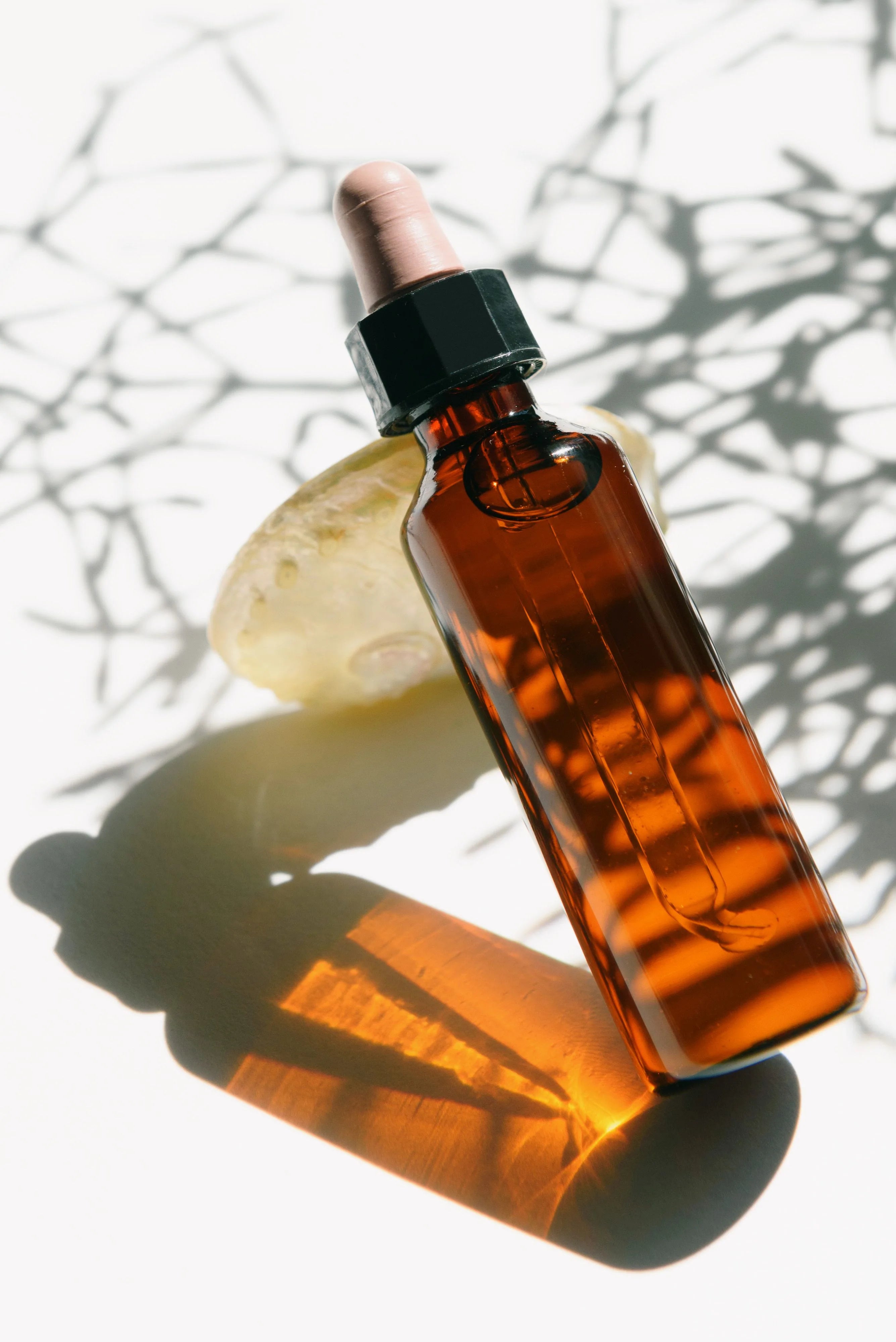Amber glass dropper bottle of tea tree essential oil resting against a stone in warm natural light, with dramatic branch-shaped shadows across a white surface