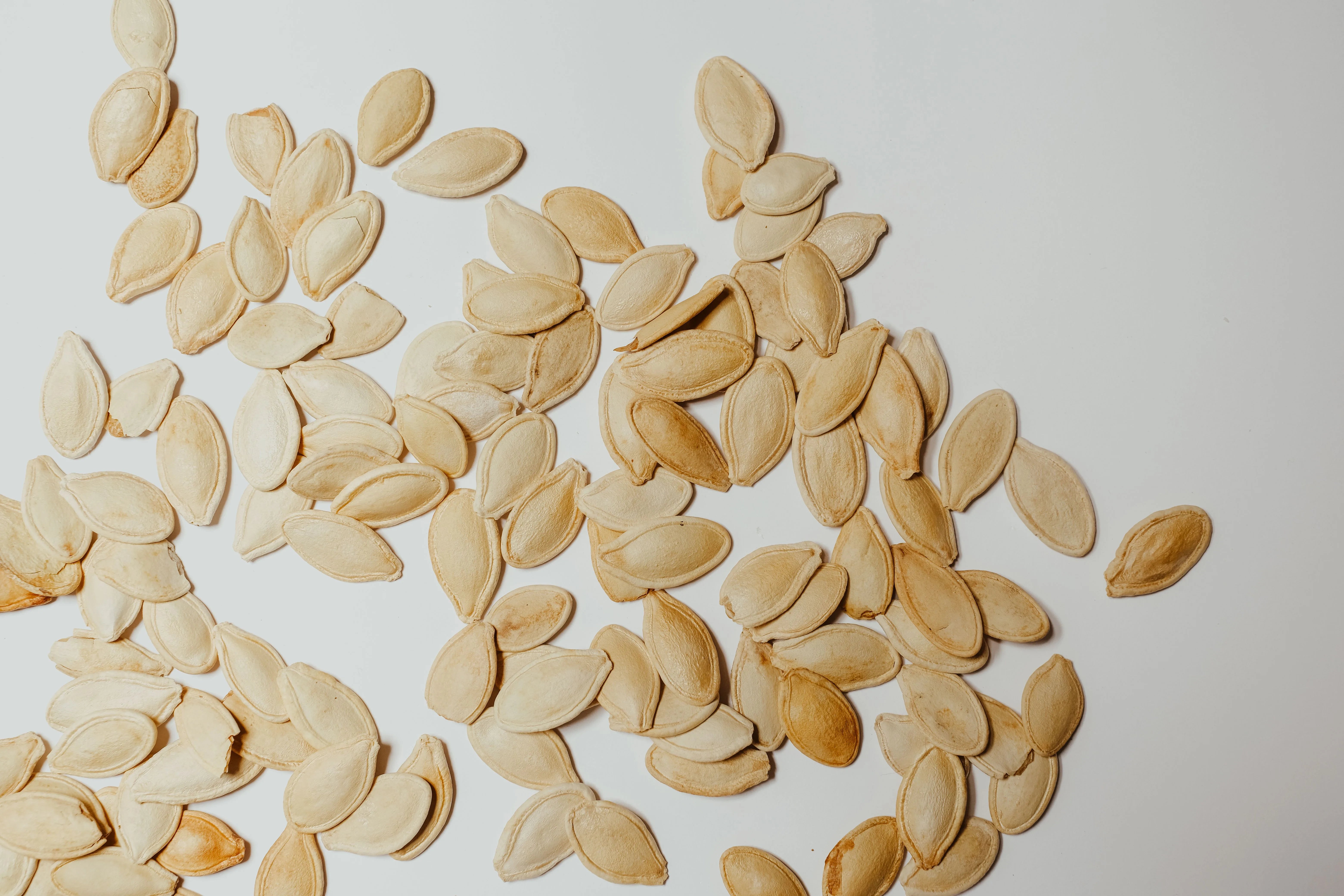 Close-up of raw pumpkin seeds scattered on a white background, a top natural food source of zinc